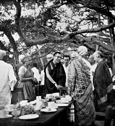 1959_tea