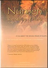 numen