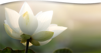 The Value of Theosophy