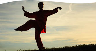 Yang Style Simplified T'ai Chi Ch'uan