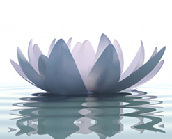 Meditaion Group