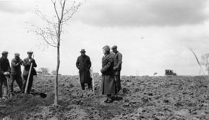 Theosophical Society - Tree Planting: May 6, 1925