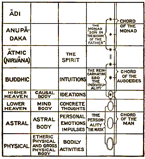 Theosophical Society - Chart on the constitution of man, from C. Jinarajadasa, First Principles of Theosophy, describing the levels of human consciousness and the corresponding planes of nature