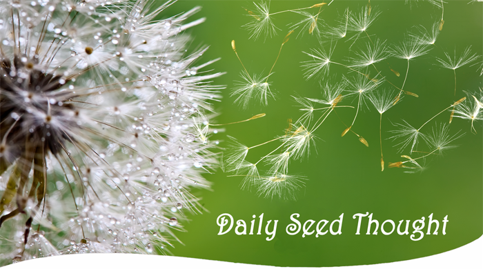 Theosophical Society - Daily Seed Thought.  Sign up to receive daily wisdom and spiritual resources for use in meditation, contemplation, and inspiration.