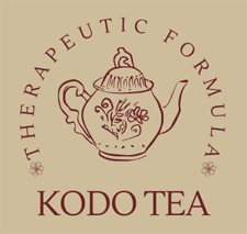 Final Template wo blend type Anya Fridman