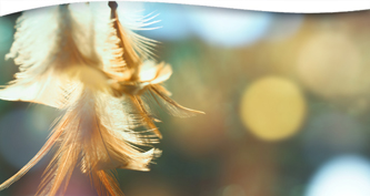 A Native Guide to Your Energy Field & Releasing Anxiety
