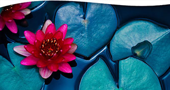 Buddhist Meditation: Allowing for Intuition, Revelation, and Insight