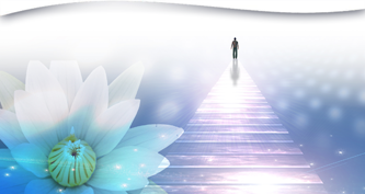 Immortality in Theosophical Thought and Practice
