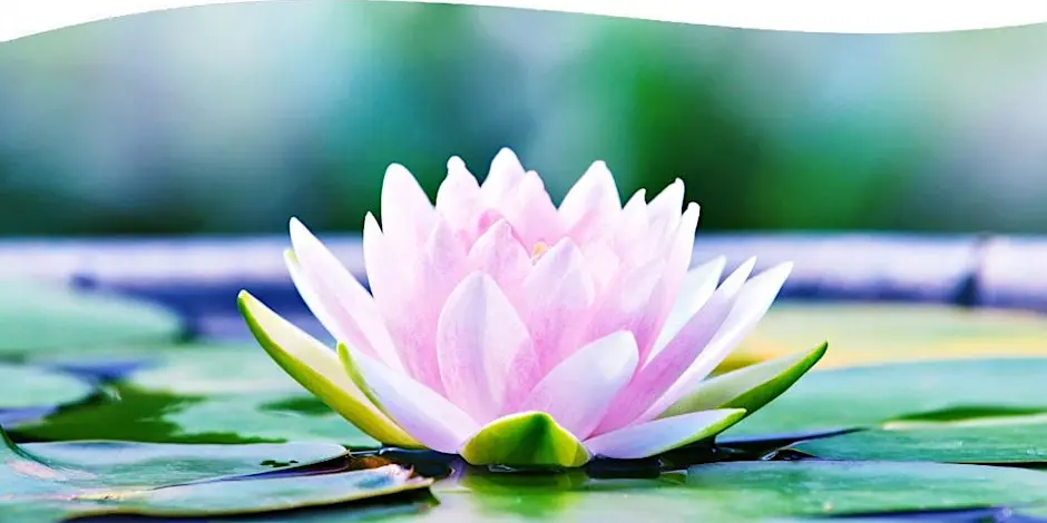 intro_to_theosophy_class