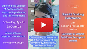 Marina Weiler YT copy