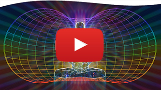 The Mystery of Life Energy From Phantom Limbs to Crop Circles YT