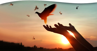 Yoga of Forgiveness: Truth & Reconciliation at Every Step of Life