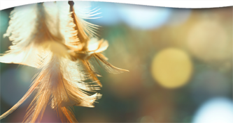 A Native Guide to the Spirit World