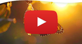 karma and reincarnation workshop