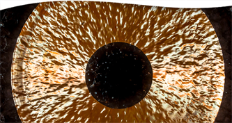 Sound Bath Meditation: A Portal to New Beginnings