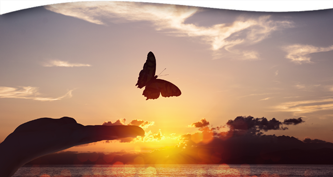 The Art of Letting Go: How to Release Bad Habits, Emotions, Relationships, and More