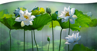 the mahatmas working with the wise ones for a better world with barbara hebert 10. 21 21