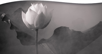 The Mystical Experience: Reflections and Practice Inspired by Teachings of the Heart