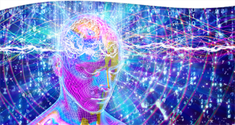 The Origin and Evolution of Life, Consciousness, and the Physical Universe